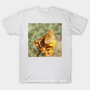 Nature gifts, wildlife, butterfly, Delicate Surprise T-Shirt